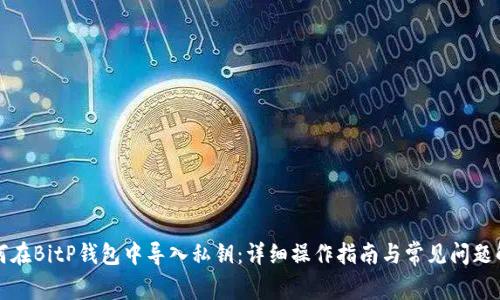 如何在BitP钱包中导入私钥：详细操作指南与常见问题解答