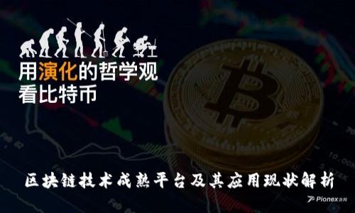 区块链技术成熟平台及其应用现状解析