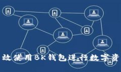 如何高效使用BK钱包进行数字资产管理