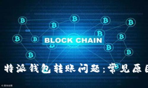 如何解决 B 特派钱包转账问题：常见原因及解决方案