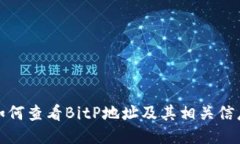 如何查看BitP地址及其相关信息