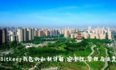 BitKeep钱包的私钥详解：安全性、管理与恢复