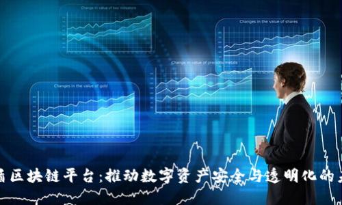 数盾区块链平台：推动数字资产安全与透明化的未来