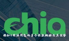 揭秘B特派钱包的多个收款