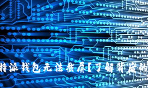 为什么B特派钱包无法截屏？了解背后的安全机制