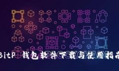 BitP 钱包软件下载与使用指南
