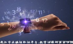 武汉市区块链取证平台：
