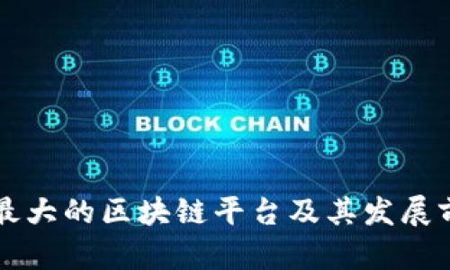 奥地利最大的区块链平台及其发展前景分析