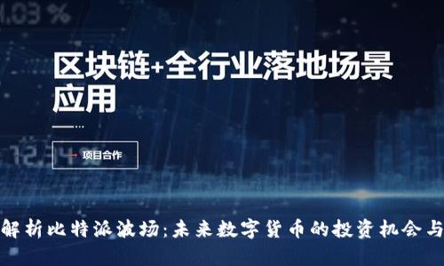 深入解析比特派波场：未来数字货币的投资机会与风险