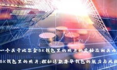 以下是一个关于比尔金BK钱包里的照片的友好及相