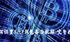 如何设置BitP钱包备份视频：完整指南