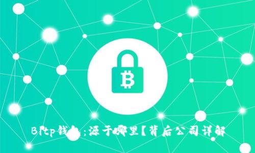Bitp钱包：源于哪里？背后公司详解