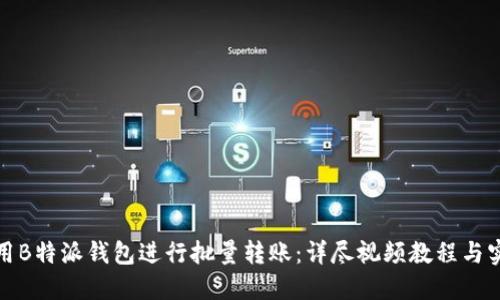 如何使用B特派钱包进行批量转账：详尽视频教程与实用技巧