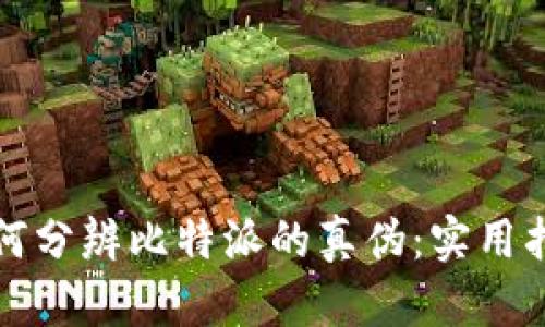 如何分辨比特派的真伪：实用指南