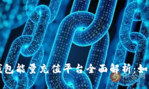 优质比特派冷钱包能量充值平台全面解析：如何安全高效使用
