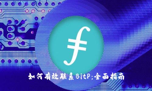 如何有效联系BitP：全面指南