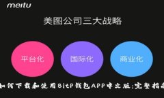 如何下载和使用BitP钱包