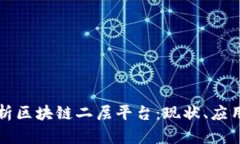 全面解析区块链二层平台