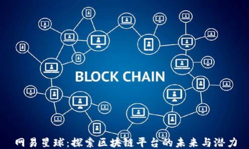 
网易星球：探索区块链平台的未来与潜力