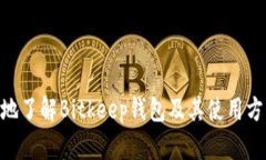    下载Bitkeep钱包的完整指