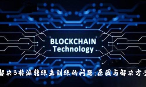 如何解决B特派转账未到账的问题：原因与解决方案分析