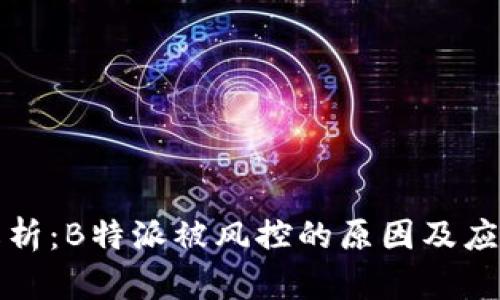 深入解析：B特派被风控的原因及应对策略