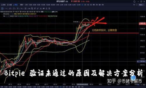 Bitpie 验证未通过的原因及解决方案分析