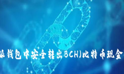 如何在比特派钱包中安全转出BCH（比特币现金）的详细指南
