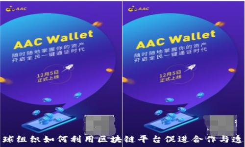   
全球组织如何利用区块链平台促进合作与透明