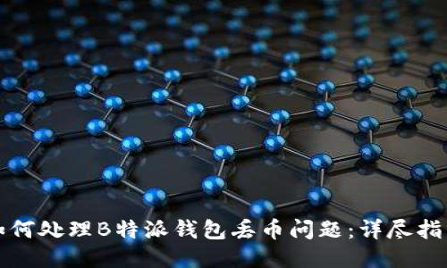 如何处理B特派钱包丢币问题：详尽指南