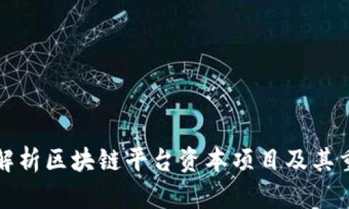 深入解析区块链平台资本项目及其重要性