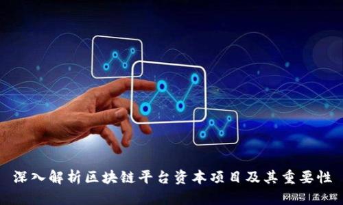 深入解析区块链平台资本项目及其重要性