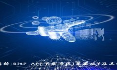 全方位解析：BitP APP下载专