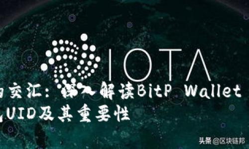展望人类与技术的交汇: 深入解读BitP Wallet UID的概念与功能
全面解析BitP钱包UID及其重要性