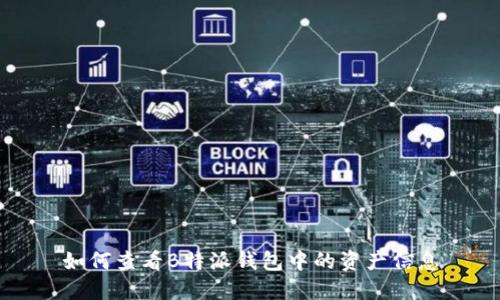 如何查看B特派钱包中的资产信息