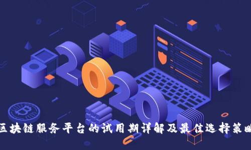 区块链服务平台的试用期详解及最佳选择策略