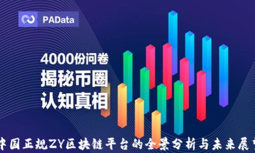 
中国正规ZY区块链平台的全景分析与未来展望