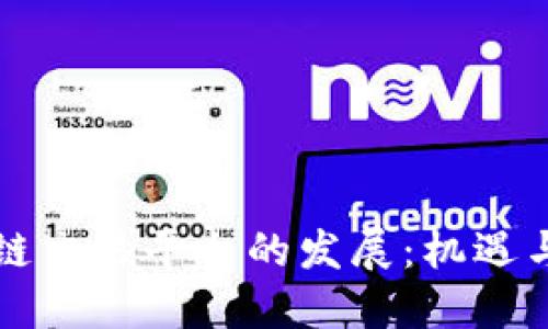 区块链交易平台的发展：机遇与挑战