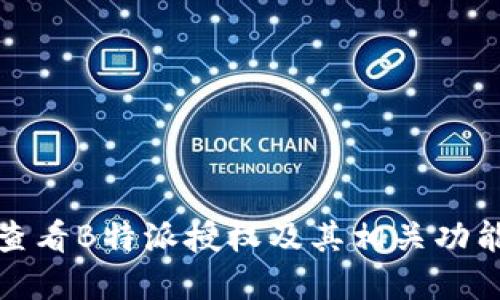 如何查看B特派授权及其相关功能详解