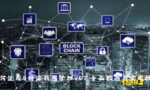 如何使用B特派钱包管理VET：全面指南与实用技巧