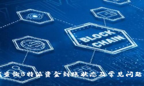 如何查询B特派资金到账状态及常见问题解答