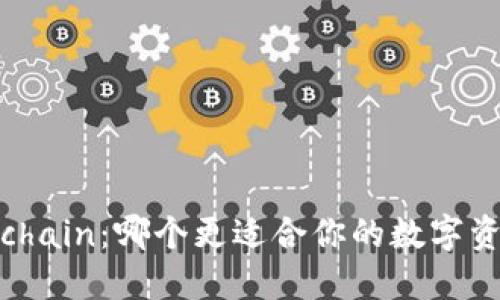 比特派与Bitchain：哪个更适合你的数字资产管理需求？