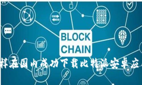 怎样在国内成功下载比特派安卓应用？