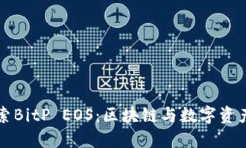深入探索BitP EOS：区块链与数字资产的未来