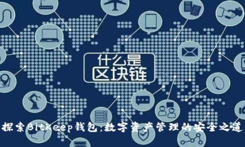 探索BitKeep钱包：数字资产管理的安全之道