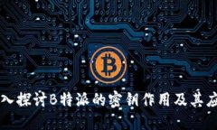 深入探讨B特派的密钥作用