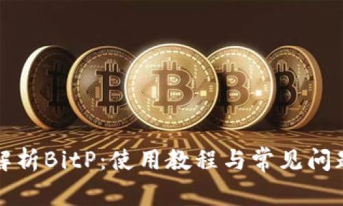 全面解析BitP：使用教程与常见问题解答