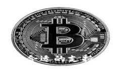 如何在B特派中选择合适的