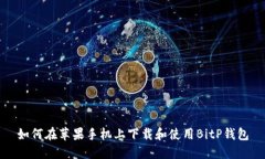 如何在苹果手机上下载和