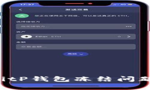 如何解决BitP钱包冻结问题：全面指南